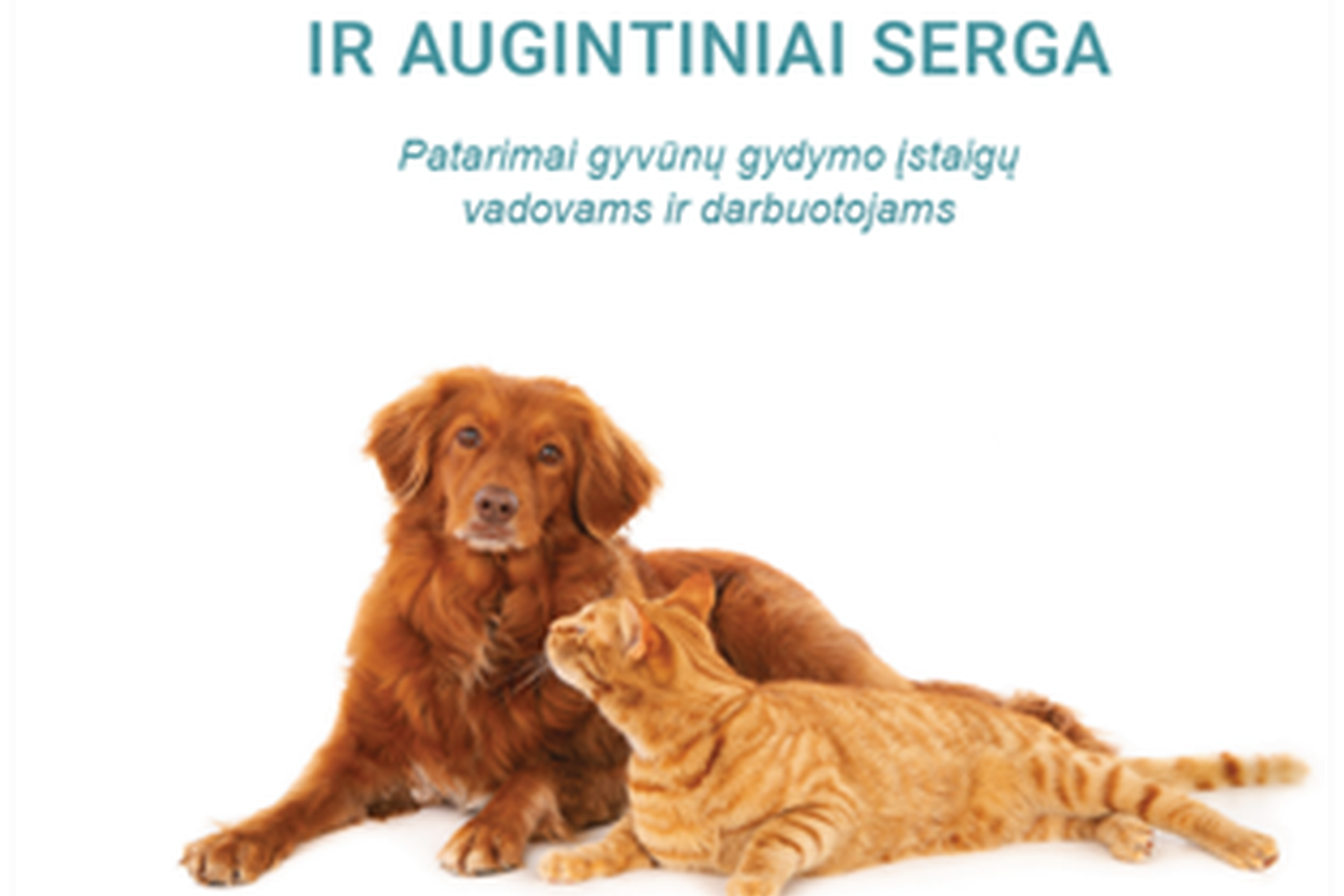 Iliustracija